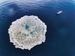 折射出新时代科技强军的