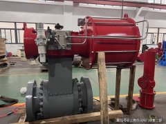 具备年产各类阀门50万台（